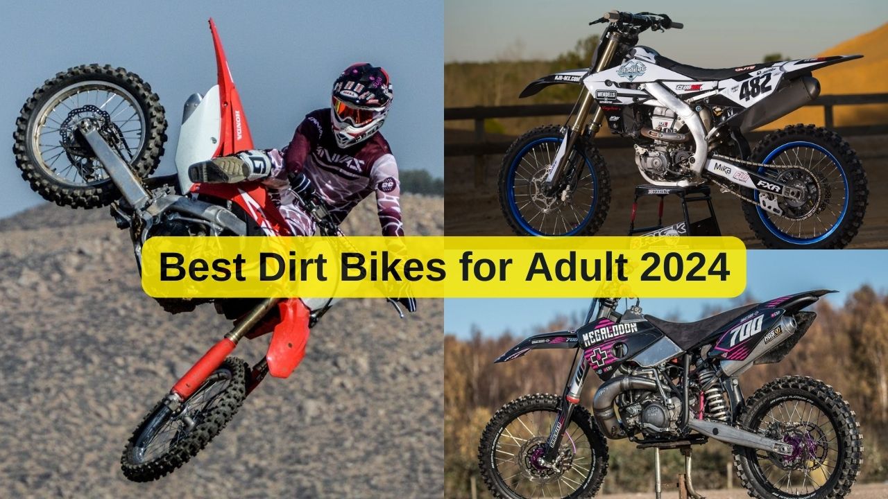 Best Dirt Bikes for Adult 2024